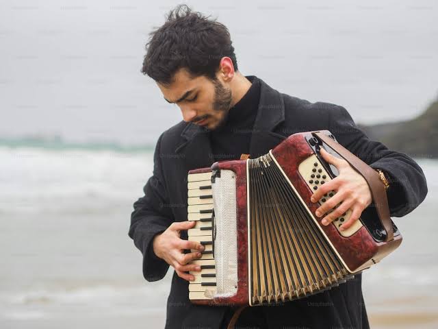 Best Accordion Learning App for Beginners and Enthusiasts