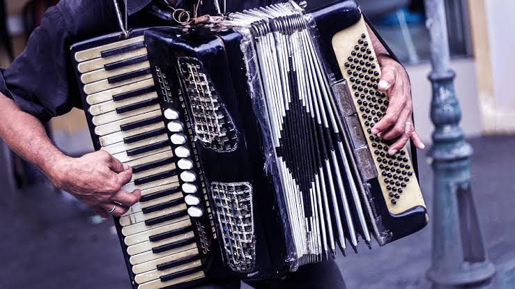 Best Accordion Learning App for Beginners and Professionals