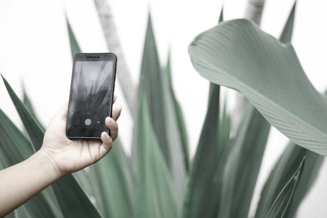 Best Plant Identification and Care App for Home Gardeners